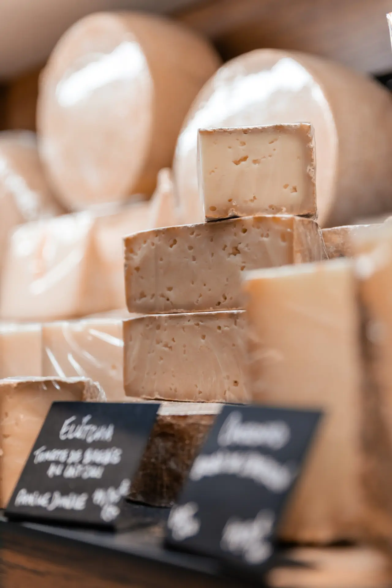 French regional cheeses: tomme and goat cheese