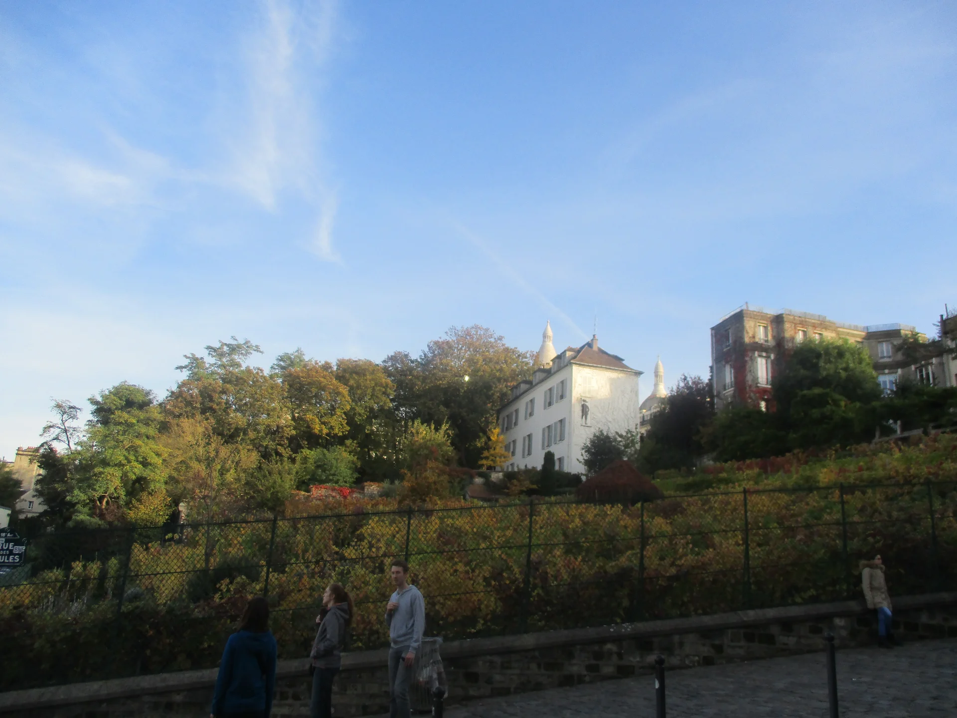 Le vignoble du Clos Montmartre sur les pentes de la butte Montmartre à Paris